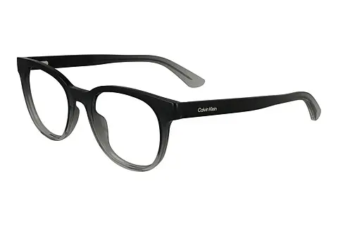 Designerbrillen Calvin Klein CK24522 004