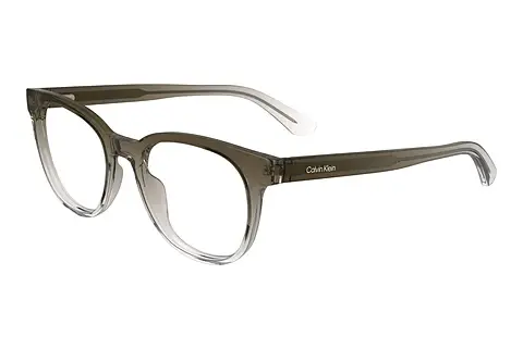 Designerbrillen Calvin Klein CK24522 036