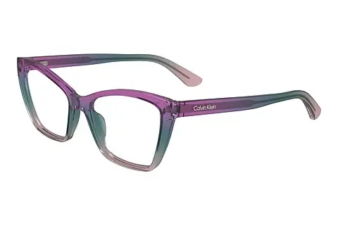 Designerbrillen Calvin Klein CK24523 503