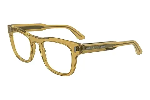 Designerbrillen Calvin Klein CK24540 254