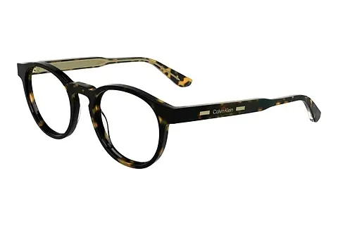 Designerbrillen Calvin Klein CK24551MAG-SET 206