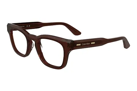 Designerbrillen Calvin Klein CK25521 205
