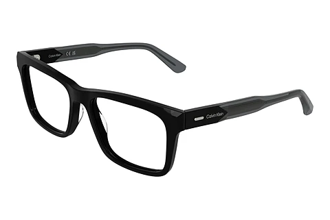 Designerbrillen Calvin Klein CK25544 001