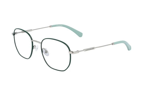 Designerbrillen Calvin Klein CKJ20101 304