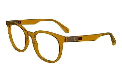 Designerbrillen Calvin Klein CKJ24613 261