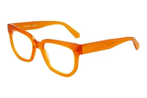 Designerbrillen Calvin Klein CKJ24615 201