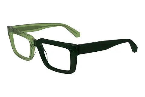 Designerbrillen Calvin Klein CKJ24616 305