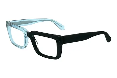 Designerbrillen Calvin Klein CKJ24616 405