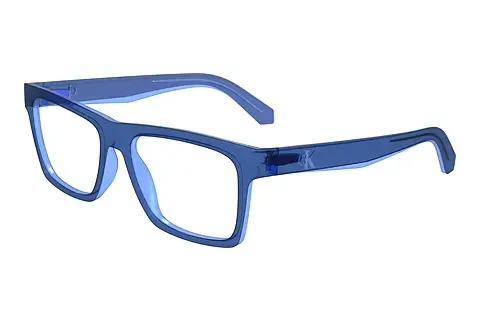 Designerbrillen Calvin Klein CKJ24617 400