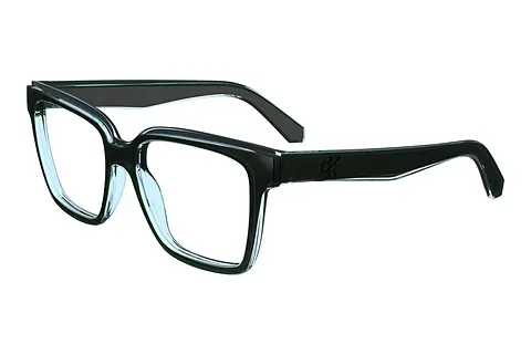 Designerbrillen Calvin Klein CKJ24619 300