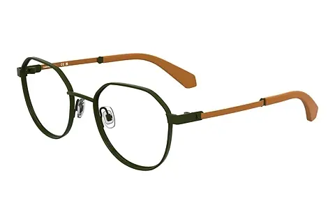 Designerbrillen Calvin Klein CKJ25304 309