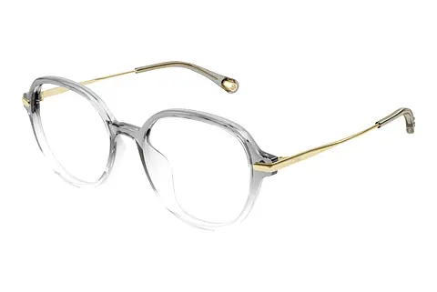 Designerbrillen Chloé CH0217OA 001