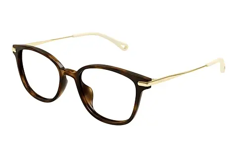 Designerbrillen Chloé CH0219OA 002