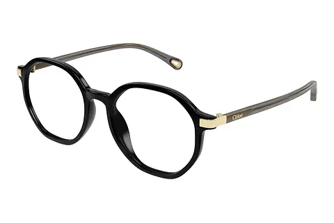 Designerbrillen Chloé CH0249OA 001