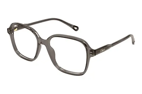 Designerbrillen Chloé CH0313O 003