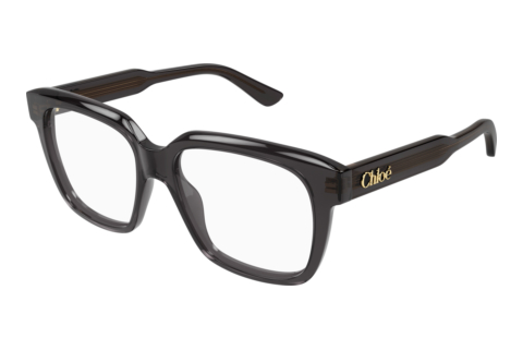 Designerbrillen Chloé CH0340O 006