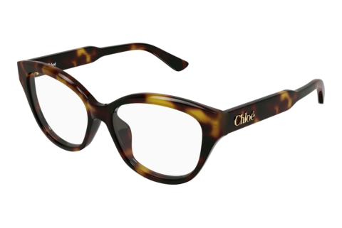 Designerbrillen Chloé CH0381OL 007