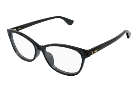 Designerbrillen Chloé CH0394OL 006