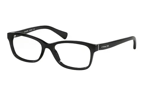 Designerbrillen Coach HC6089 5002