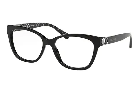 Designerbrillen Coach HC6120 5510
