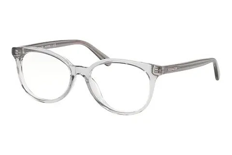 Designerbrillen Coach HC6138U 5176