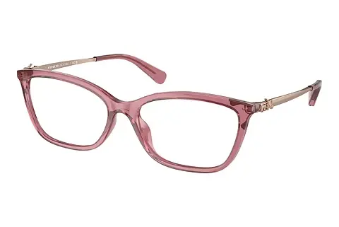 Designerbrillen Coach HC6146U 5800