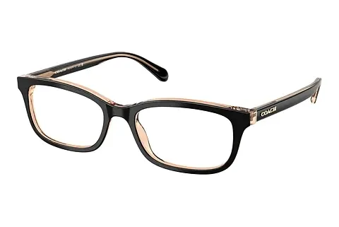 Designerbrillen Coach HC6174 5781