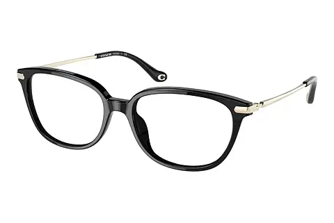 Designerbrillen Coach HC6185 5002