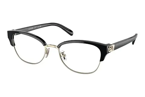 Designerbrillen Coach HC6195 5002
