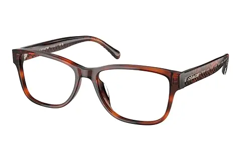 Designerbrillen Coach HC6208U 5741