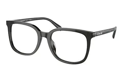 Designerbrillen Coach HC6227U 5793