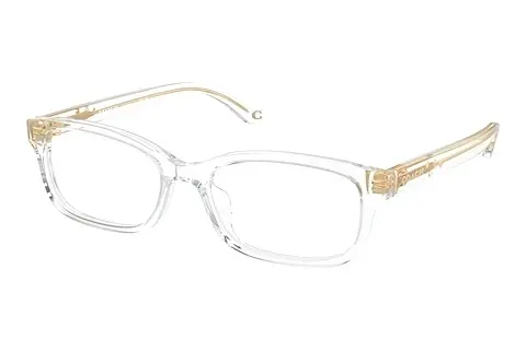 Designerbrillen Coach HC6233U 5111