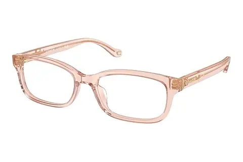 Designerbrillen Coach HC6233U 5668