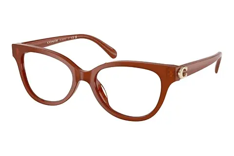 Designerbrillen Coach HC6247U 5841
