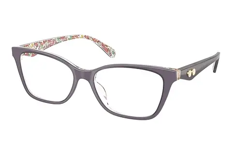 Designerbrillen Coach HC6248U 5895
