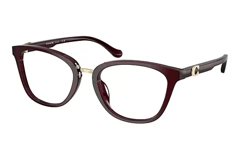 Designerbrillen Coach HC6272U 5915