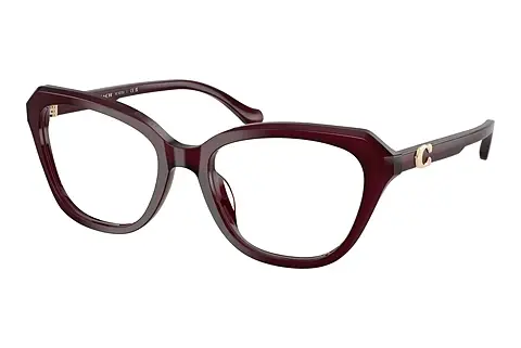Designerbrillen Coach HC6273U 5915