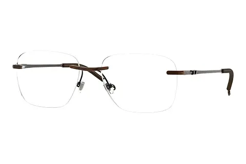 Designerbrillen Diesel DL5005 1025