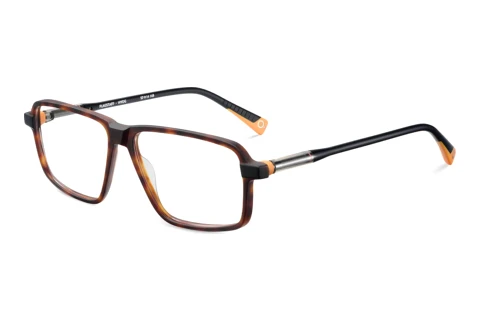Designerbrillen Etnia Barcelona FLAGSTAFF HVOG
