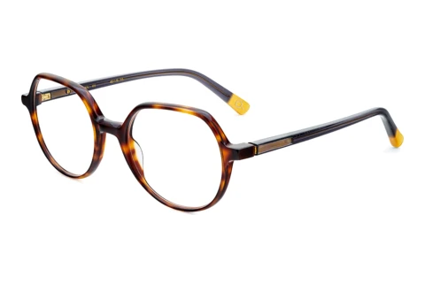Designerbrillen Etnia Barcelona ROBIN HV