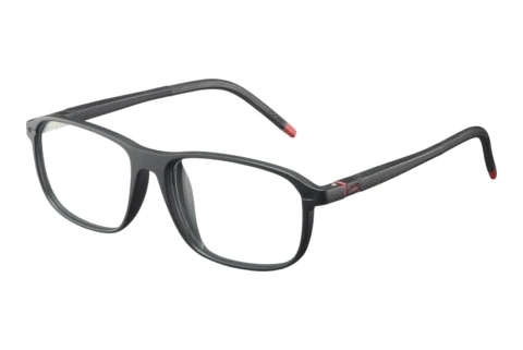 Designerbrillen Julbo FLEXIO-R54 23_JOP1413