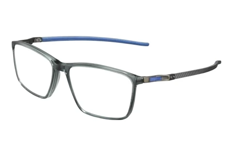 Designerbrillen Julbo RIDLEY 31