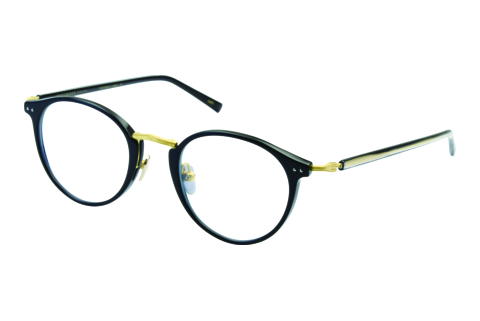 Designerbrillen MASUNAGA GMS819 49