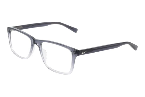 Designerbrillen Nike NIKE 1000 029