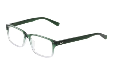 Designerbrillen Nike NIKE 1001C 313