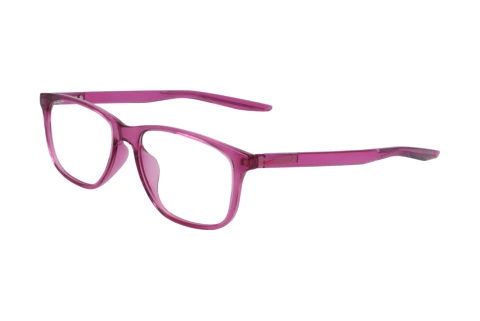 Designerbrillen Nike NIKE 5019 604