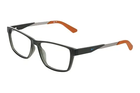 Designerbrillen Nike NIKE 5101 302