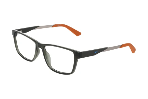 Designerbrillen Nike NIKE 5101 N 302