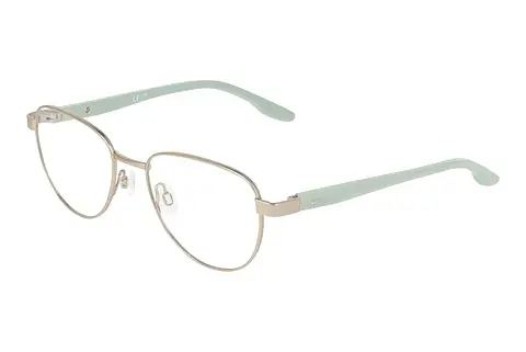 Designerbrillen Nike NIKE 5401 717
