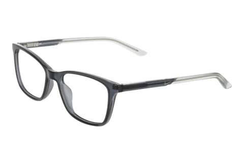 Designerbrillen Nike NIKE 7133 033